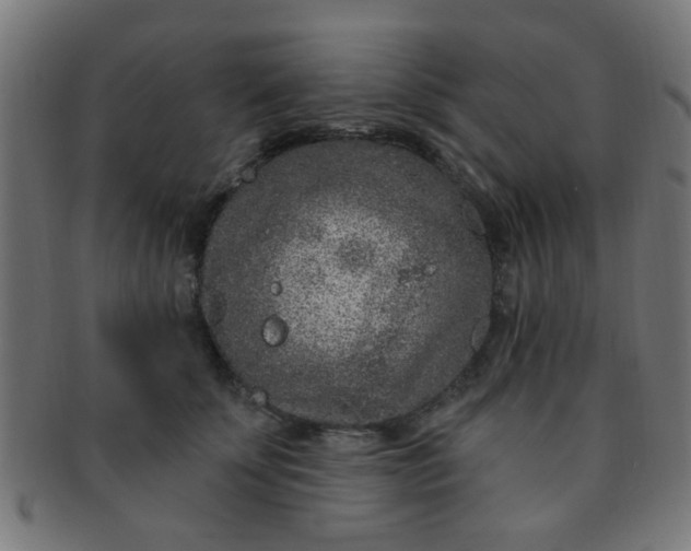 X0000091730707200709071500