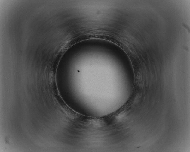 X0000091730708200709071500