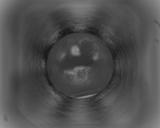 X0000091730711200709071500