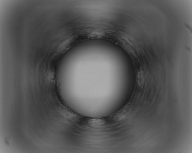 X0000091730714200709071500