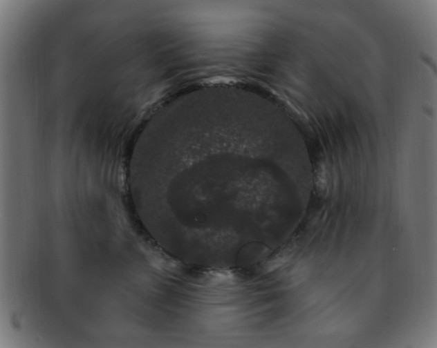 X0000091730715200709071500