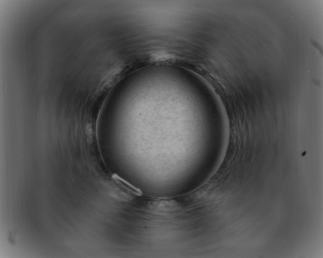 X0000091730716200709071500