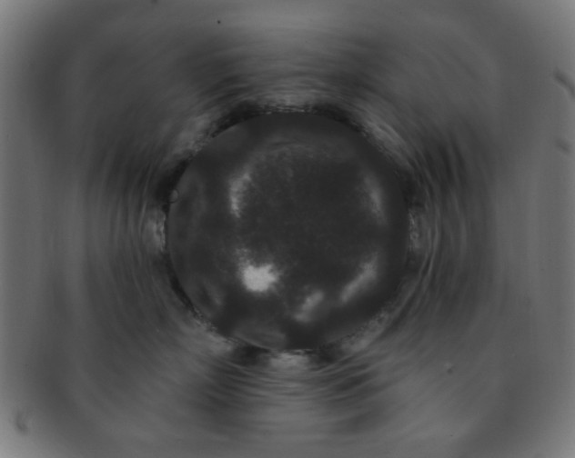 X0000091730718200709071500