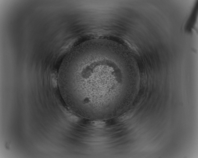 X0000091730719200709071500