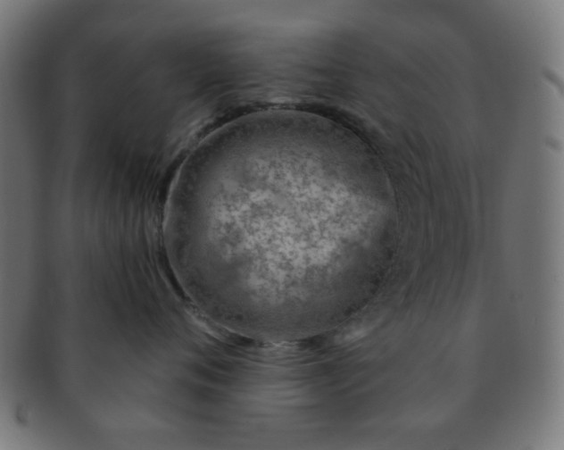 X0000091730720200709071500