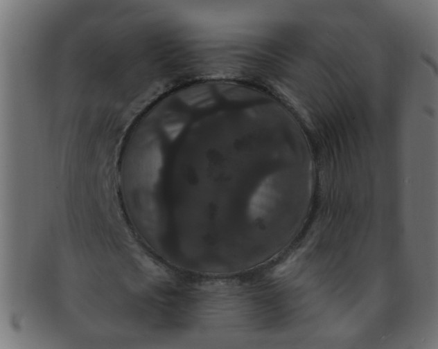 X0000091730721200709071459