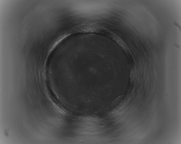 X0000091730722200709071459