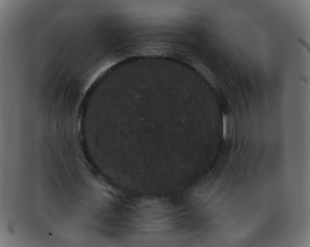 X0000091730723200709071459