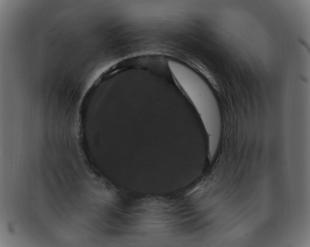 X0000091730724200709071459