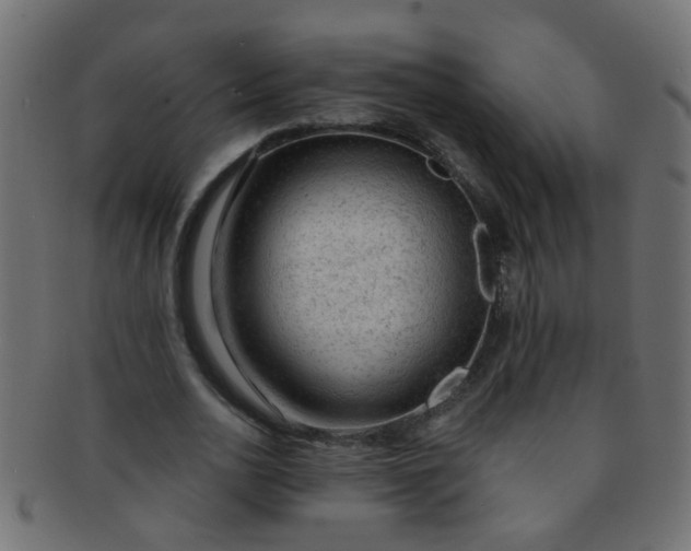 X0000091730726200709071459