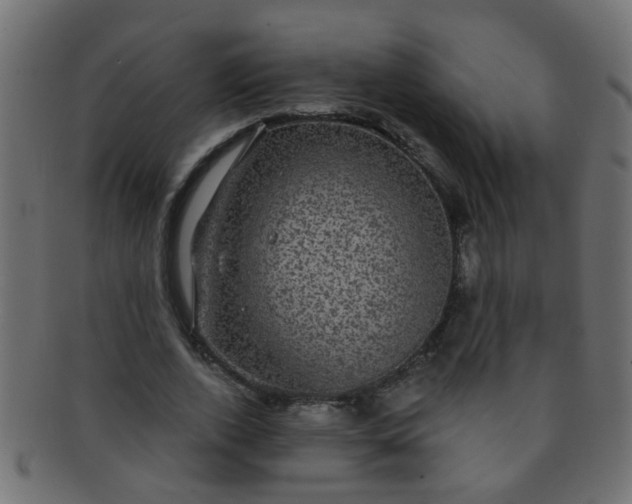 X0000091730728200709071459