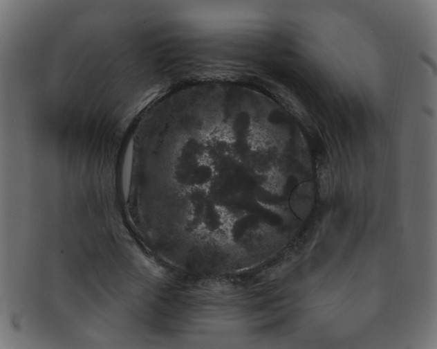 X0000091730729200709071459