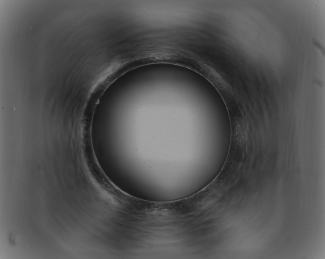 X0000091730730200709071459