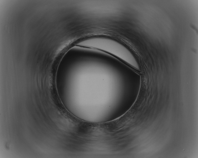 X0000091730732200709071500