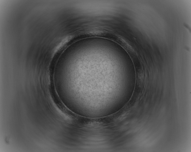 X0000091730734200709071500