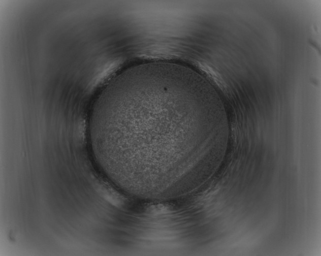 X0000091730735200709071500