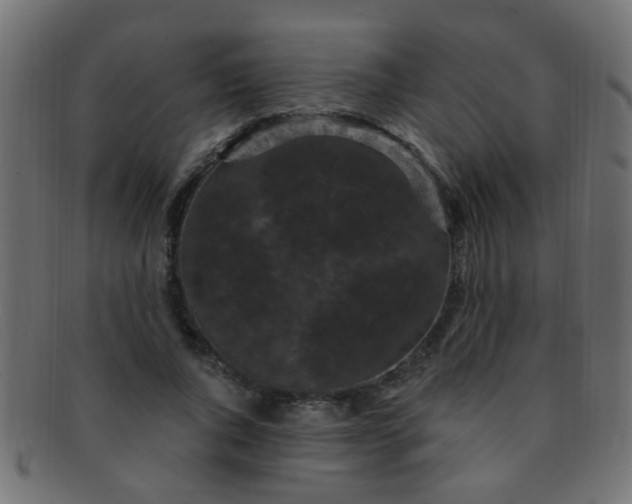 X0000091730736200709071500