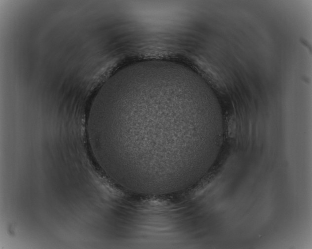 X0000091730737200709071500