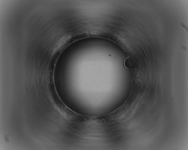 X0000091730738200709071500