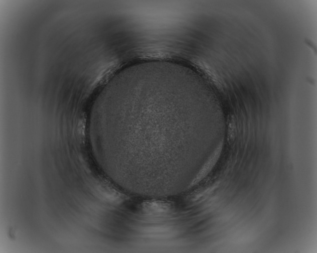 X0000091730739200709071500