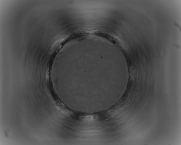 X0000091730740200709071500