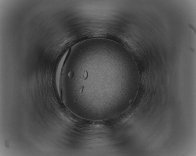 X0000091730741200709071500