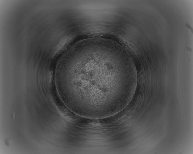 X0000091730742200709071500