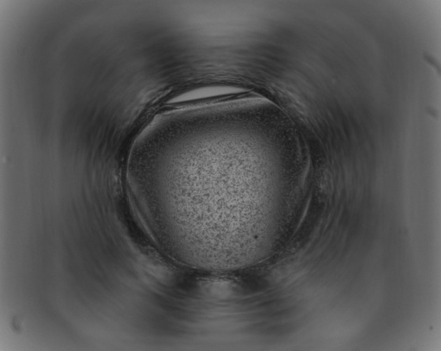 X0000091730743200709071500