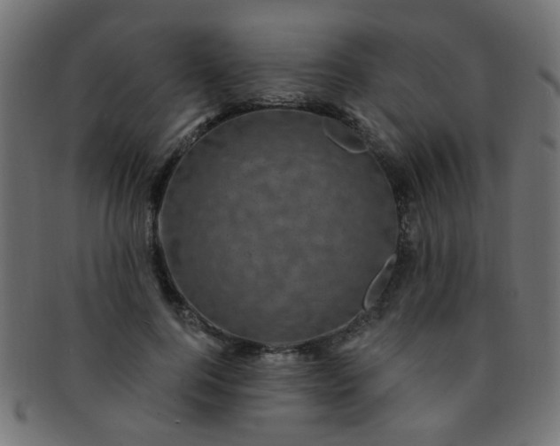 X0000091730744200709071500