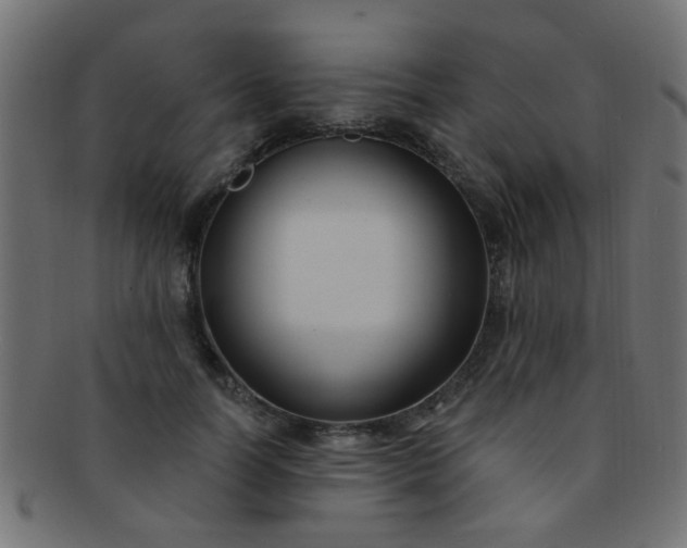 X0000091730746200709071500