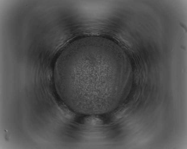 X0000091730747200709071500