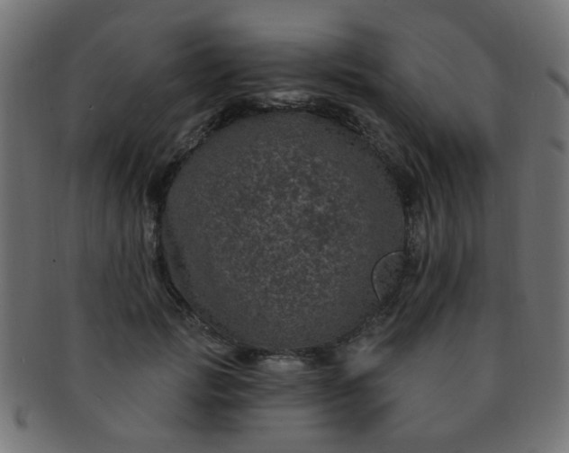 X0000091730749200709071500