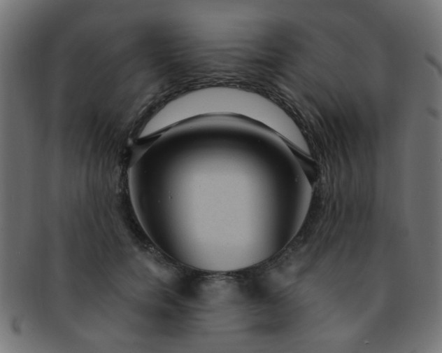 X0000091730750200709071500