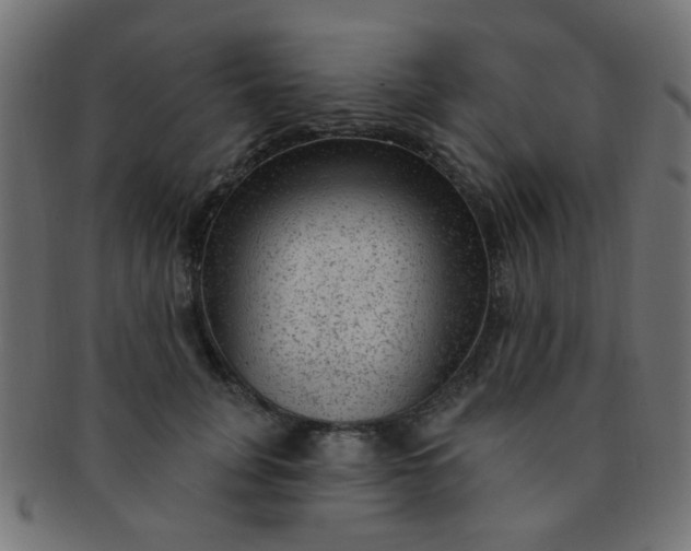 X0000091730751200709071500