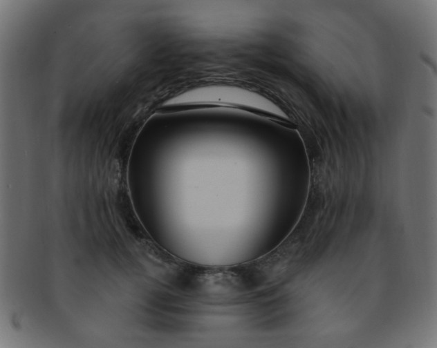 X0000091730752200709071500