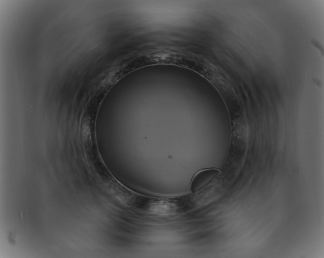 X0000091730754200709071500