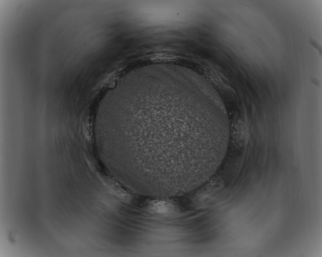 X0000091730755200709071500