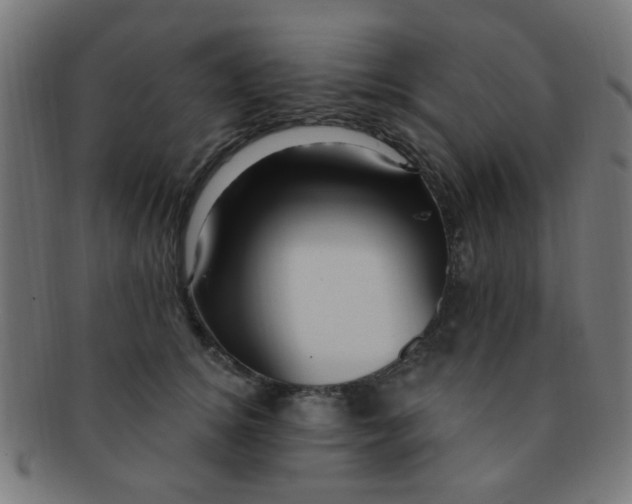 X0000091730756200709071500