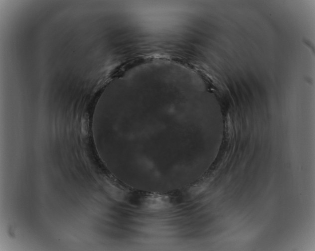 X0000091730760200709071500