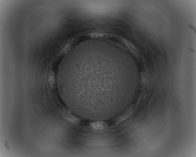 X0000091730761200709071500