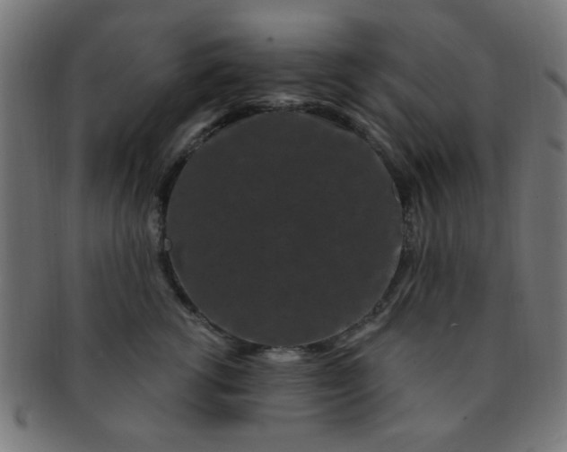 X0000091730762200709071500