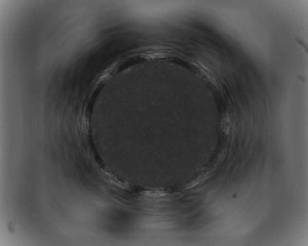 X0000091730763200709071500