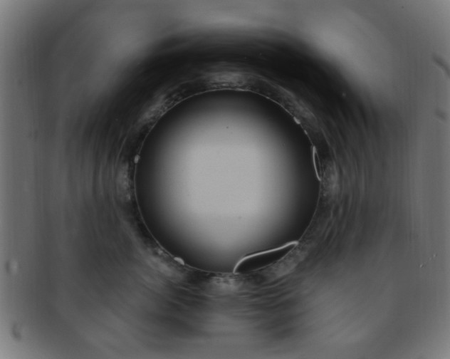 X0000091730764200709071500