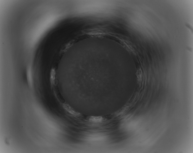 X0000091730767200709071500