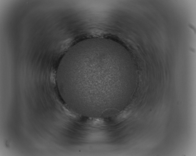 X0000091730768200709071500