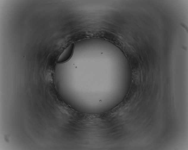 X0000091730770200709071459