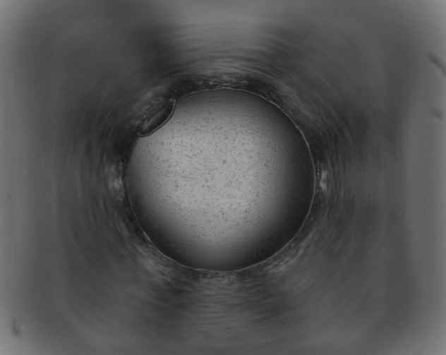 X0000091730771200709071459