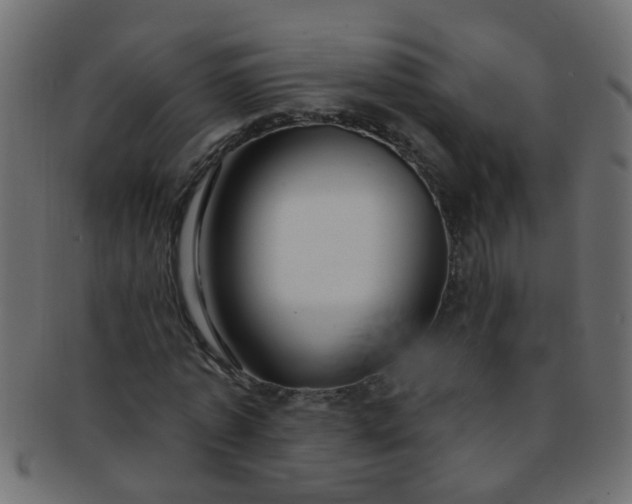 X0000091730773200709071459