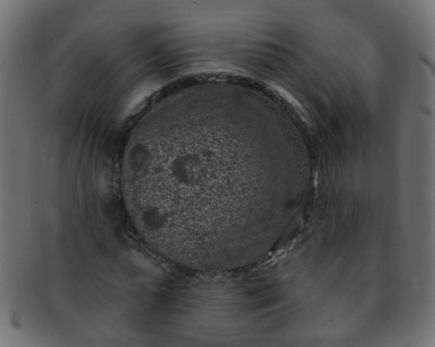 X0000091730775200709071459