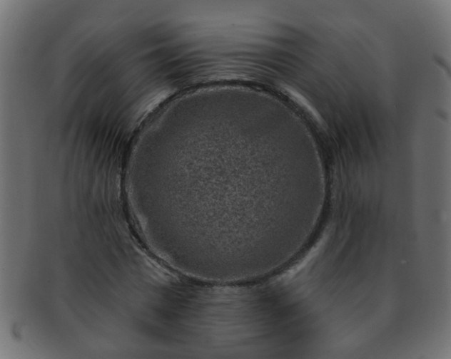 X0000091730777200709071459